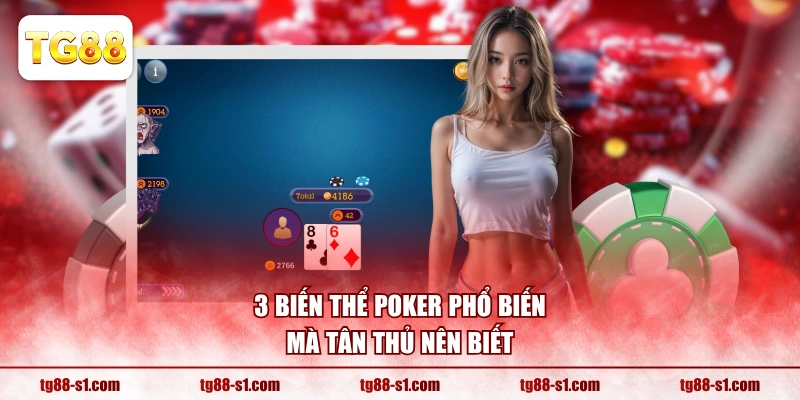 3 biến thể Poker phổ biến mà tân thủ nên biết