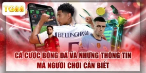 Cá Cược Bóng Đá Và Những Thông Tin Mà Người Chơi Cần Biết