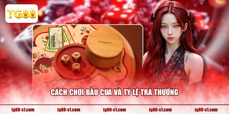Cách chơi Bầu Cua và tỷ lệ trả thưởng
