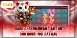 Cách Chơi Nổ Hũ Mèo Tài Lộc Cho Người Mới Bắt Đầu