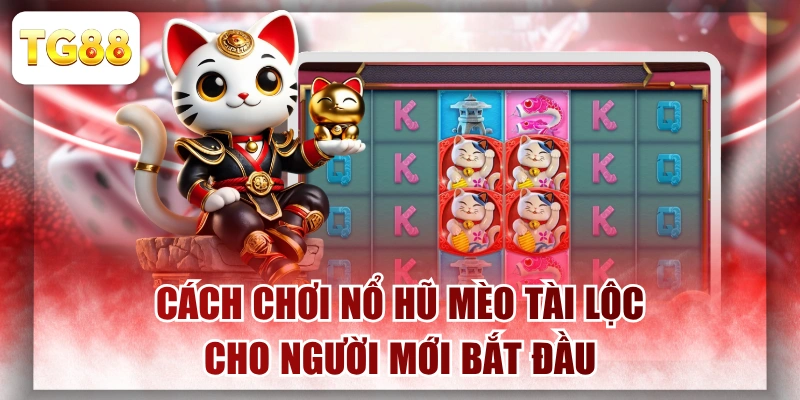 Cách Chơi Nổ Hũ Mèo Tài Lộc Cho Người Mới Bắt Đầu