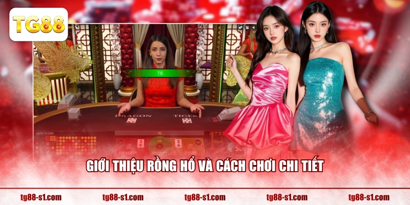 Giới thiệu Rồng Hổ và cách chơi chi tiết