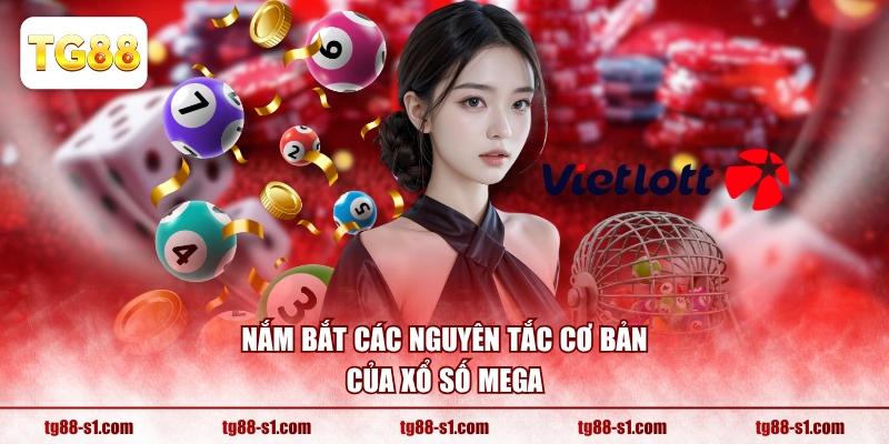 Nắm bắt các nguyên tắc cơ bản của xổ số Mega